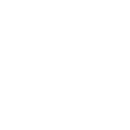 VEGAN FREE*